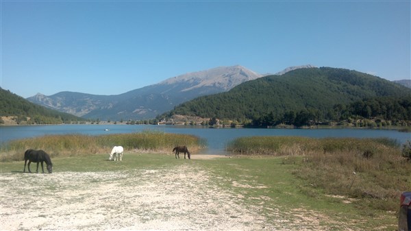 Agropolis