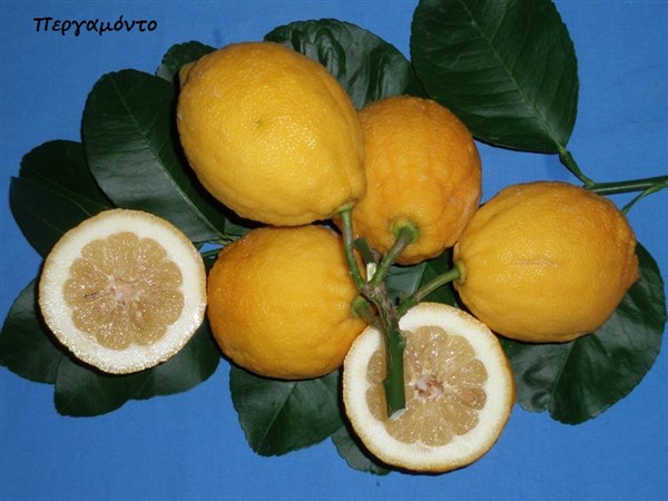 Agropolis