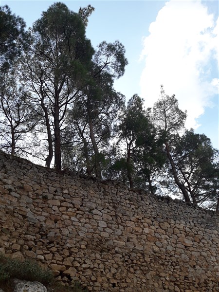 Agropolis