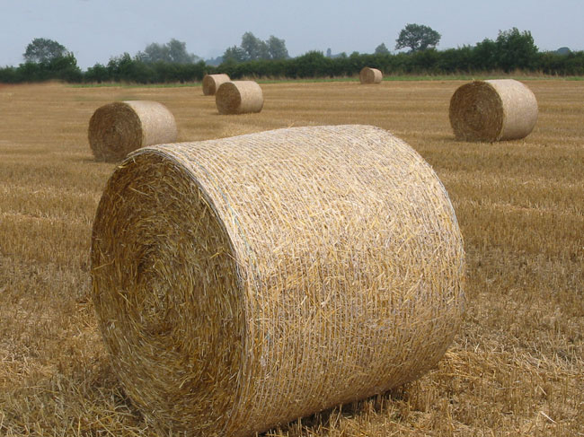Agropolis